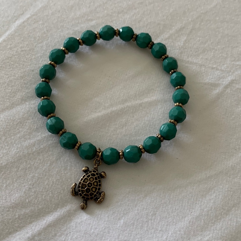 Turtle Lovers Unite!